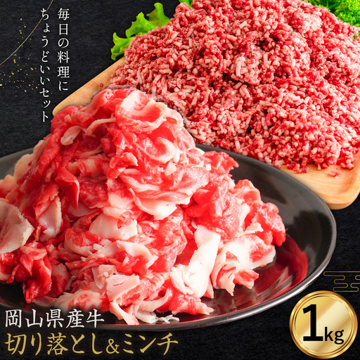 牛肉 国産 切り落とし ミンチ セット 家計応援 岡山県産牛 交雑牛 1kg