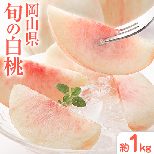 桃 岡山県の旬の白桃 約1kg 花田青果株式会社 もも