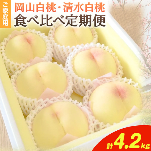 清水白桃 岡山白桃 ご家庭用 定期便 3回 白桃 桃
