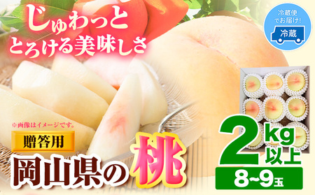 桃 約2kg 亀川農園 【配送不可地域あり】