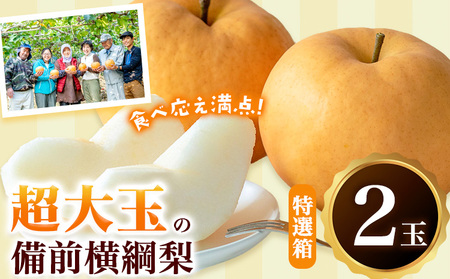 【先行予約】梨 横綱梨 超大玉 2玉 約1kg～1.5kg 特選箱 石原果樹園 フルーツ 果物 新鮮《11月中旬-12月下旬頃より発送予定》岡山県 浅口市 フルーツ 果物 ギフト 贈り物 国産 岡山県産 送料無料