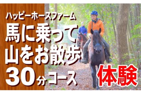 DD-55　馬に乗って山をお散歩30分コースチケット