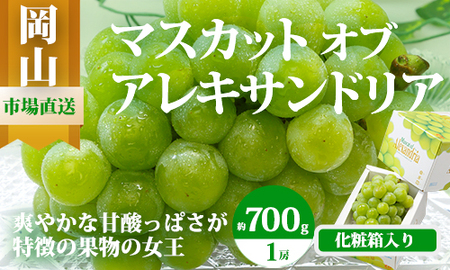 [令和7年発送・先行予約]岡山県産 マスカットオブアレキサンドリア(700g以上・秀品以上)1房 化粧箱入り