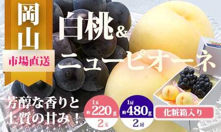 [令和7年発送・先行予約]岡山県産 詰合/白桃(1玉220g以上)2玉・ニューピオーネ(480g以上)2房 化粧箱入り