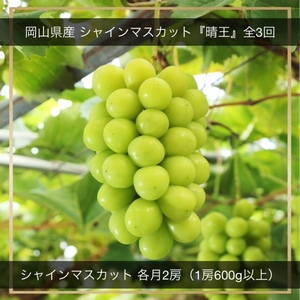 NN-36@yߘa8NEs\zVC}XJbgwxS3@VC}XJbgiE1[600ȏj2[@ϔ