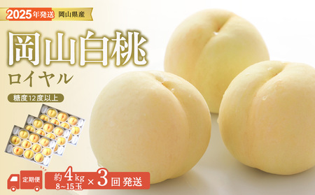 白桃 特秀 ロイヤル 大玉 定期便 約4kg 3回発送 岡山県産 桃 もも 御中元 ギフト 御礼 プレゼント 御礼 御祝 御供 果物 くだもの フルーツ