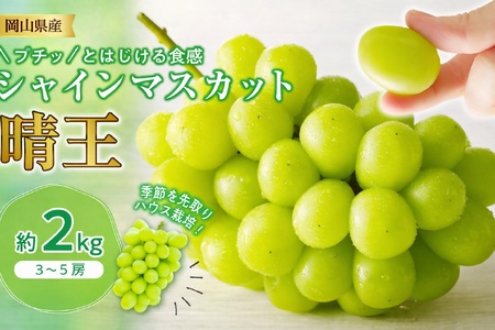 土-23 シャインマスカット 晴王 ハウス栽培 約2kg 岡山県産 ぶどう御中元 ギフト 御礼 プレゼント 御礼 御祝 御供 果物 くだもの フルーツ