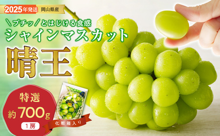CS-11@VC}XJbg  I [ 700g 1[  ϔ RY Ԃǂ Mtg  v[g  j 䋟 ʕ  t[c