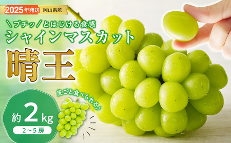 シャインマスカット 晴王 秀品 大房 約2kg 2-5房 岡山県産 ぶどう ギフト 御礼 プレゼント 御礼 御祝 御供 果物 くだもの フルーツ