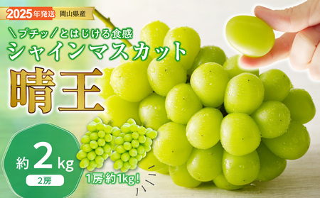 シャインマスカット 晴王 秀品 特大 約2kg 2房 岡山県産 ぶどう ギフト 御礼 プレゼント 御礼 御祝 御供 果物 くだもの フルーツ