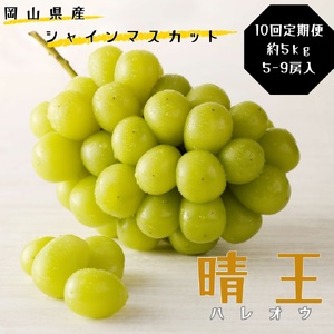 土-30 シャインマスカット 晴王 定期便 秀品 大房 約5kg 5-9房 10回発送 岡山県産 ぶどう ギフト 御礼 プレゼント 御礼 御祝 御供 果物 くだもの フルーツ