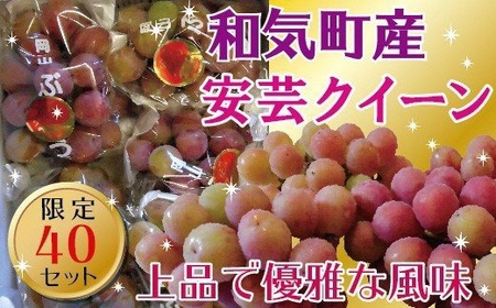 安芸クイーン2.0kg(4〜5房)