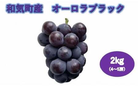 オーロラブラック2.0kg(4〜5房)