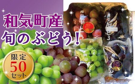 シャインマスカットと旬のぶどうセット2.0kg