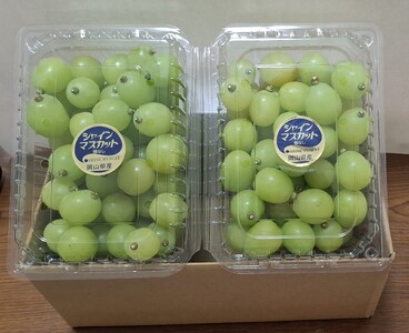 シャインマスカット 粒パック 1.2kg(家庭用)