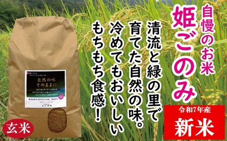 米 おいしいお米 姫ごのみ(玄米)10kg