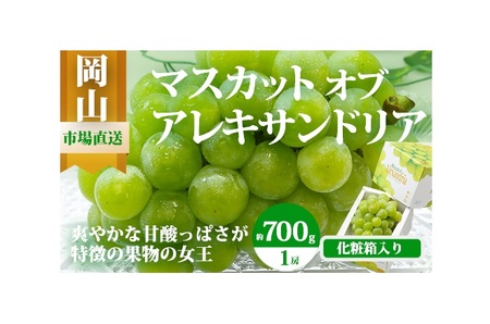 CS-12[令和8年発送・先行予約]岡山県産 マスカットオブアレキサンドリア(700g以上・秀品以上)1房 化粧箱入り