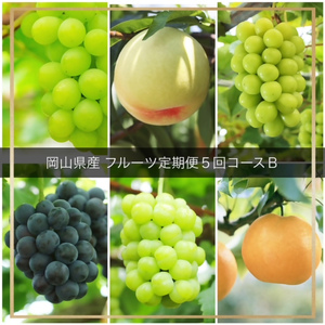 JZ-1yߘa8NEs\zt[c5R[XB