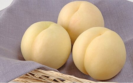 CY-1[令和8年発送]ご家庭用岡山白桃(晩生)