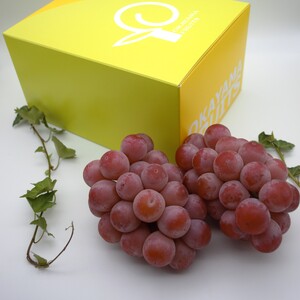 UU-12[令和8年発送]ご家庭用岡山県産クインニーナ