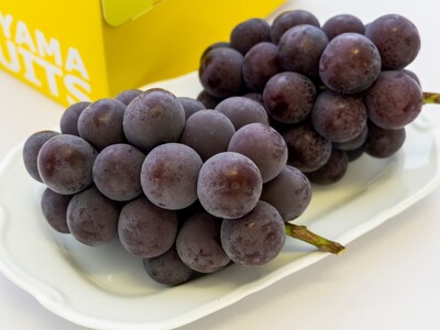 UU-13[令和8年発送]ご家庭用岡山県産ニューピオーネ