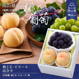 CY-2[令和8年発送]桃・ピオーネ詰合せ