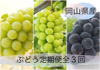 Ga-1yߘa8NEs\zԂǂ֑̒S3