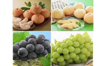 環-17[先行予約]岡山県産 旬のくだもの定期便 3回