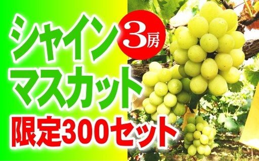 シャインマスカット [2026年発送] 3房 優品 岡山県産 ハウス栽培 産地直送