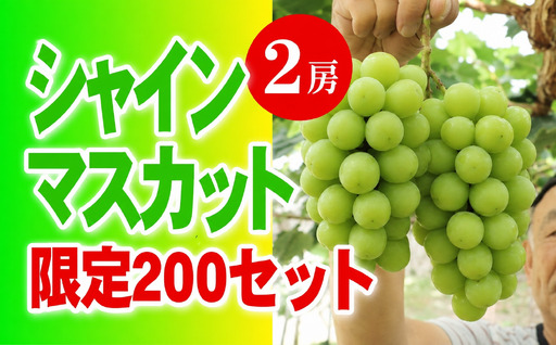 シャインマスカット 【2026年発送】 ２房 大粒 秀品 岡山県産 ハウス栽培 産地直送