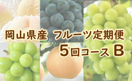 岡山県産 フルーツ定期便 5回コースB