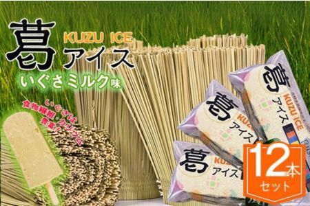 いぐさミルク12 本セット
