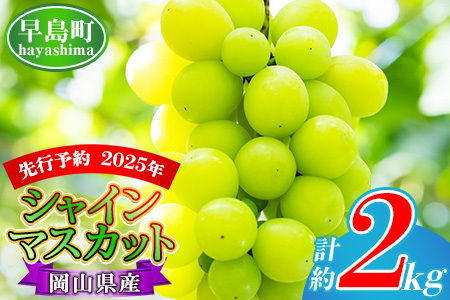[2025年先行予約]岡山県産 シャインマスカット 約2kg(3房〜5房) 家庭用 訳あり /9月下旬〜10月上旬 受付順に発送予定
