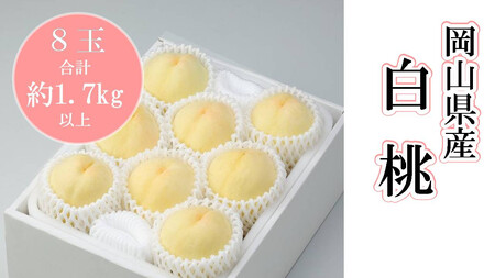 岡山県産 白桃8玉(合計 1.7kg 以上)(ハックルベリーフィン)