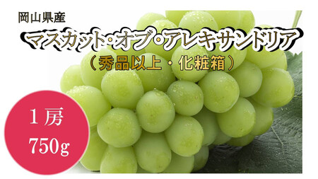 岡山県産 マスカット・オブ・アレキサンドリア(秀品以上・化粧箱入り)1房(750g)(ハックルベリーフィン)