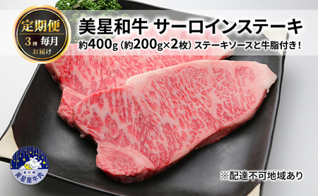 y 3 ͂za T[CXe[L e400gi200g×2jXe[L\[XƋtI R  