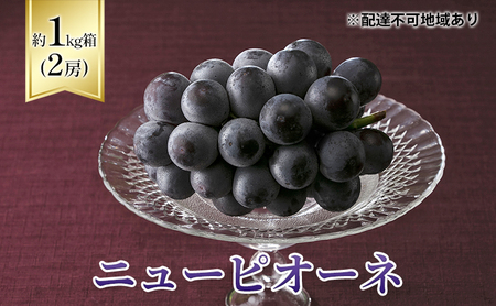 ぶどう 2024年 先行予約 ニューピオーネ 1kg箱(2房) 葡萄 ブドウ 岡山県産 フルーツ 果物