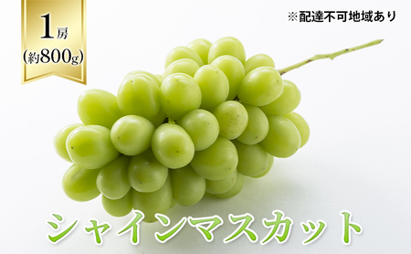 ぶどう 2024年 先行予約 シャインマスカット 1房箱(約800g) 葡萄 ブドウ 岡山県産 フルーツ 果物