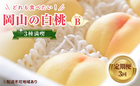 [ 2025年 先行予約 ]桃 岡山県産 どれも食べたい!岡山 白桃 3種 満喫 プラン 3回 コースB ( 白鳳 ・ 清水白桃 ・ 瀬戸内白桃 各1.2kg)[2025年7月上旬-8月下旬頃出荷]フルーツ 果物 里庄町