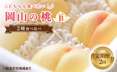 [ 2025年 先行予約 ]桃 岡山県産 岡山 の桃 2種 食べ比べ プラン 2回 コースB ( 加納岩白桃 ・ あかつき 各1.5kg) [2025年6月下旬-7月中旬頃出荷] フルーツ もも モモ ギフト 果物 旬 定期便