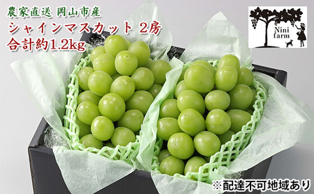 Ԃǂ 2025N s\ yϓx20xz _Ƃ VC }XJbg 2[ v1.2kg NX uhE  RY Y t[c ʕ Mtg y Nini farm _  z