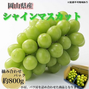 ぶどう 2025年 先行予約 [平均糖度20度]農家こだわりの シャインマスカット ご家庭用パック 合計約800g ブドウ 葡萄 岡山県産 国産 フルーツ 果物 ギフト [ Nini farm 農家 直送 ]