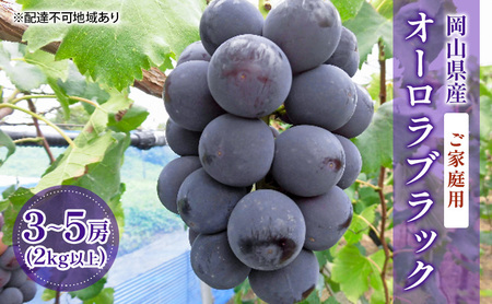 [2025年先行予約][ご家庭用]ぶどう 岡山県産 オーロラブラック ( 種無し ) 2kg以上(3〜5房) [2025年9月上旬-中旬頃出荷] 葡萄 ブドウ フルーツ 数量限定 岡山 里庄町