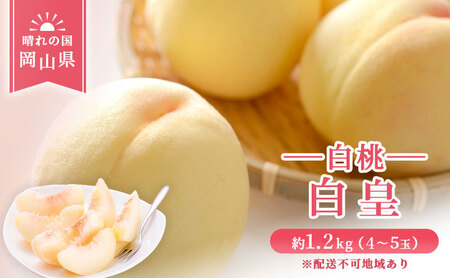 [ 2026年 先行予約] 桃 岡山県産 白皇 ( 白桃 ) 約1.2kg (4〜5玉) [2026年8月中旬-8月下旬頃出荷] 白桃 岡山 はくとう スイーツ フルーツ 果物 先行予約 数量限定 期間限定 里庄町 モモ もも