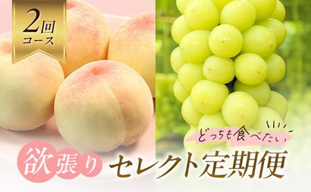 [2026年先行予約] 桃 ぶどう 欲張りセレクト 定期便 2回コース ( 白桃 ・ シャインマスカット )[2026年7月上旬-8月中旬頃出荷] もも モモ 葡萄 ブドウ 里庄町 数量限定