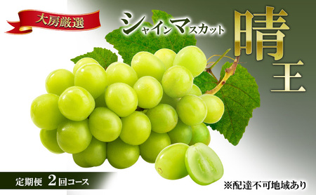 [2026年先行予約]晴れの国 大房厳選 シャインマスカット 晴王 夏秋 定期便 2回 コース[2026年6月中旬-10月上旬頃出荷] ブドウ 果物 マスカット 岡山 里庄 数量限定