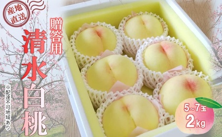 【桃 2026年 先行予約】贈答用 清水白桃 約2kg(5～7玉) もも モモ 岡山県 国産 フルーツ 果物