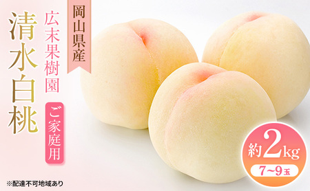[2026年先行予約] 桃 岡山県産 ご家庭用 清水 白桃 約2kg(7〜9玉)[2026年7月中旬-8月上旬頃出荷] 白桃 岡山 はくとう スイーツ フルーツ 果物 先行予約 数量限定 期間限定 岡山 里庄町 モモ もも 桃