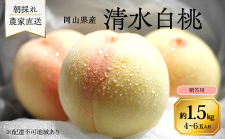 桃 2026年 先行予約 岡山県産 清水白桃 贈答用1.5kg(4〜6玉) 朝採れ 農家直送 限定20箱