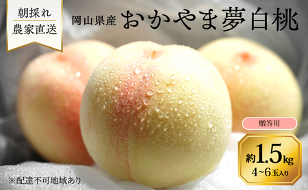 桃 2026年 先行予約 岡山県産 おかやま夢白桃 贈答用 1.5kg(4〜6玉) 朝採れ 農家直送 限定20箱
